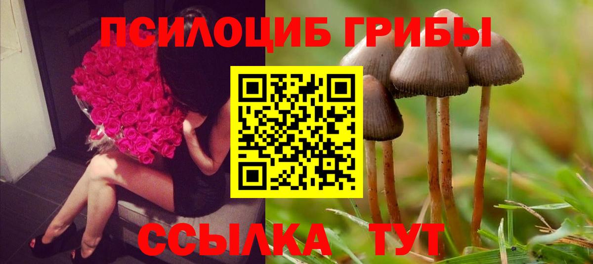 Лангепас  Галлюциногенные грибы Cubensis  Вход с VPN 